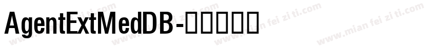 AgentExtMedDB字体转换