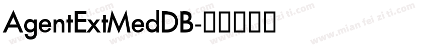 AgentExtMedDB字体转换