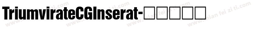 TriumvirateCGInserat字体转换