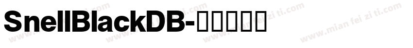 SnellBlackDB字体转换