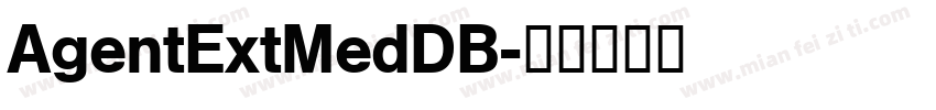 AgentExtMedDB字体转换
