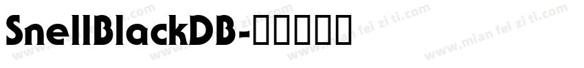 SnellBlackDB字体转换