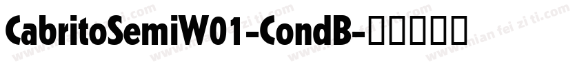 CabritoSemiW01-CondB字体转换