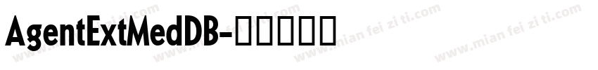 AgentExtMedDB字体转换