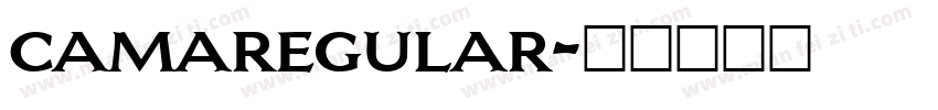 camaregular字体转换