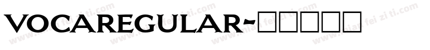 vocaregular字体转换