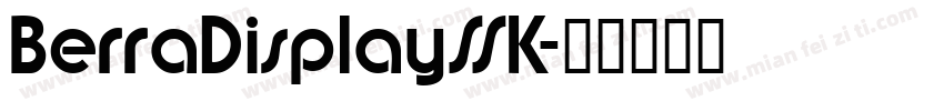 BerraDisplaySSK字体转换