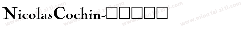 NicolasCochin字体转换