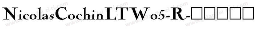 NicolasCochinLTW05-R字体转换