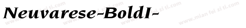Neuvarese-BoldI字体转换
