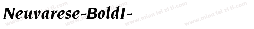 Neuvarese-BoldI字体转换
