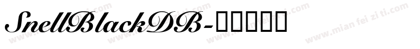 SnellBlackDB字体转换
