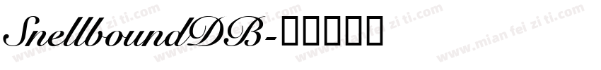 SnellboundDB字体转换