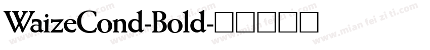 WaizeCond-Bold字体转换