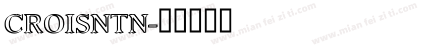 CROISNTN字体转换