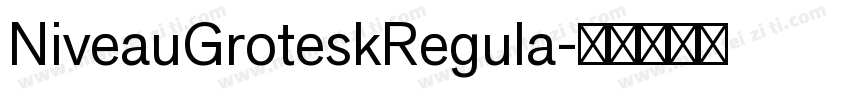 NiveauGroteskRegula字体转换