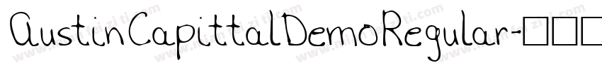 AustinCapittalDemoRegular字体转换
