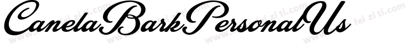 CanelaBarkPersonalUs字体转换