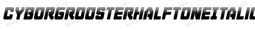 CyborgRoosterHalftoneItalic-qr9x字体转换