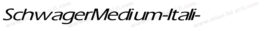 SchwagerMedium-Itali字体转换