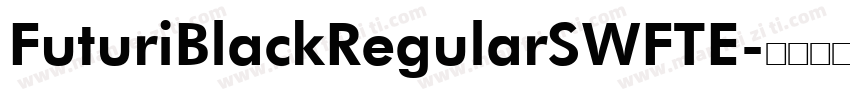 FuturiBlackRegularSWFTE字体转换
