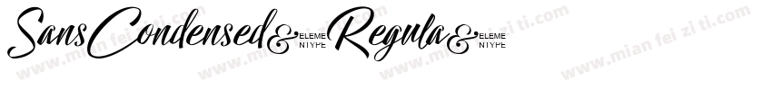 SansCondensed-Regula字体转换