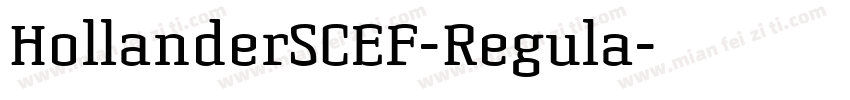 HollanderSCEF-Regula字体转换
