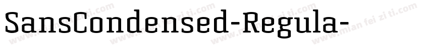 SansCondensed-Regula字体转换