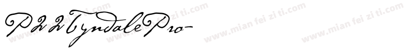 P22TyndalePro字体转换