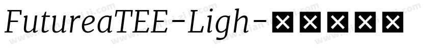 FutureaTEE-Ligh字体转换