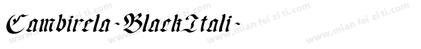 Cambirela-BlackItali字体转换
