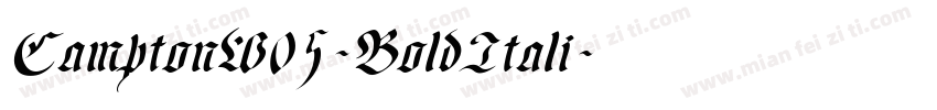 CamptonW05-BoldItali字体转换
