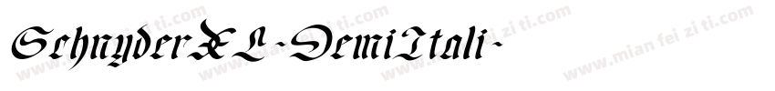 SchnyderXL-DemiItali字体转换