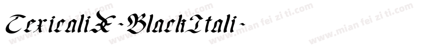 TexicaliX-BlackItali字体转换