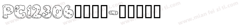 PC12306向你報導字体转换