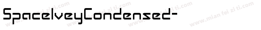 SpaceIveyCondensed字体转换
