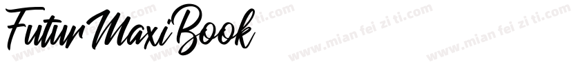 FuturMaxiBook字体转换