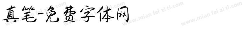真笔字体转换