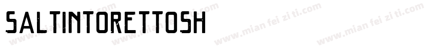 SalTintorettoSH字体转换