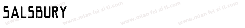 salsbury字体转换