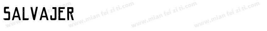 salvajer字体转换