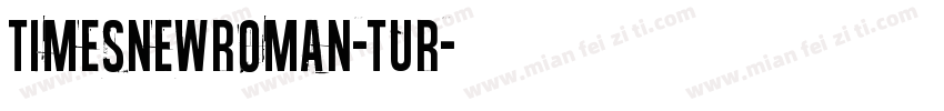 timesnewroman-tur字体转换