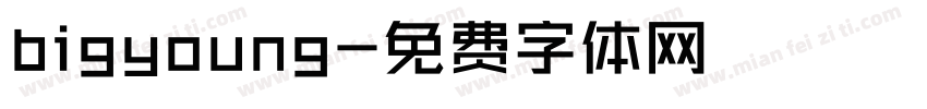 bigyoung字体转换