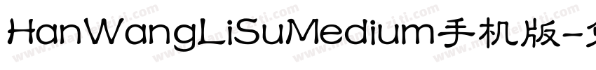 HanWangLiSuMedium手机版字体转换