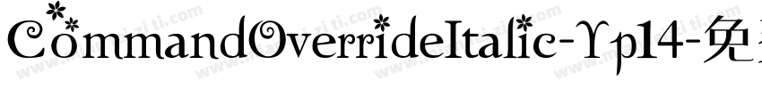 CommandOverrideItalic-Yp14字体转换