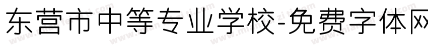 东营市中等专业学校字体转换