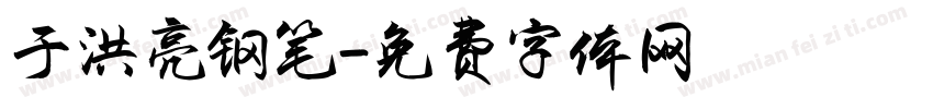 于洪亮钢笔字体转换