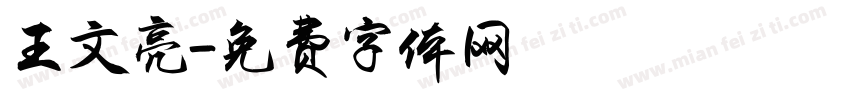 王文亮字体转换