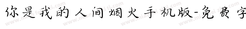 你是我的人间烟火手机版字体转换