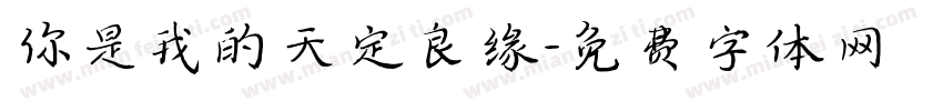你是我的天定良缘字体转换
